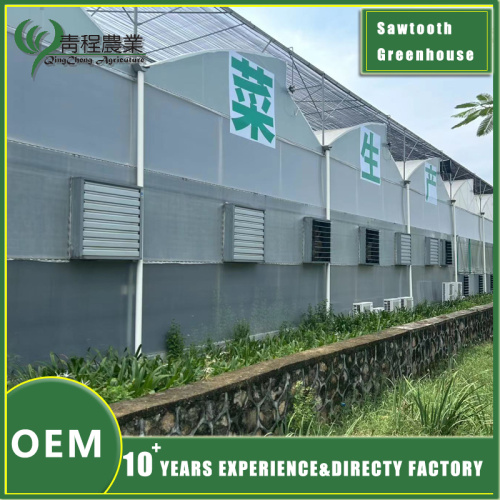 Асноўныя моманты выкарыстання цяпліцы