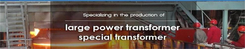 NINGBO VILLE ELECTRIC CO., LTD.