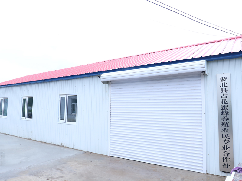 Farmers' Cooperative of Zhanhua bee breeding in Luobei County