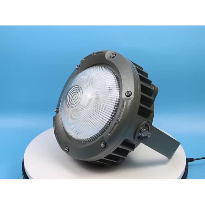 OHBF820-Explosion proof light