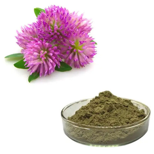 What are the functions and values of organic red clover extract?