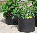 25 galon kumaş tencere kalınlaşmış dokunmamış havalandırma kumaş kaplar bitki, bahçe için güçlendirilmiş tutamaklarla büyüyen çanta11