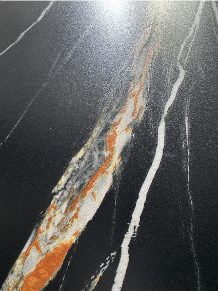 حجر الذهب الأسود حجر متكلس