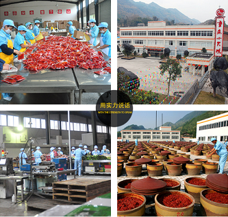 ChongQing Baifu Foods Co., Ltd.