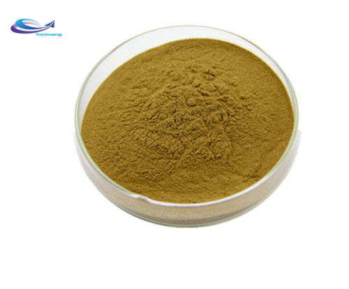  Supply Pure Natural Fucoidan Powder CAS# 9072-19-9
