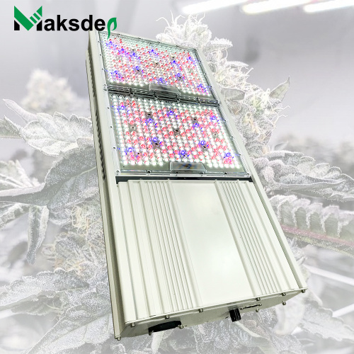 O que é melhor: HPS ou LED Grow Lights?