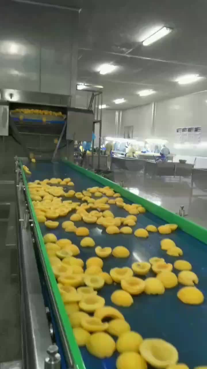 IQF yellow peach processing