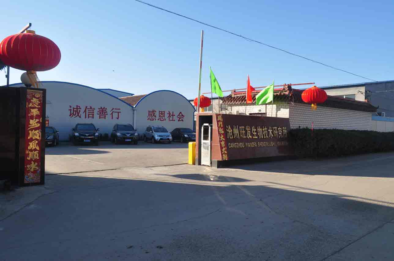 Cangzhou Pangoo International Trade Co., Ltd.
