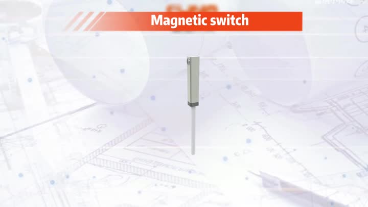 Série MS Magnetic Switch