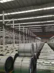 PPGI/SECC DX51 Cold Rolled/Hot Dipped Galvanized Steel Coil