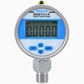 High-Accuracy Digital Electronic Pressure Gauge1