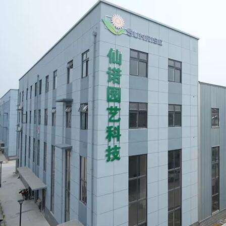 Changsha Sunrise Inc.