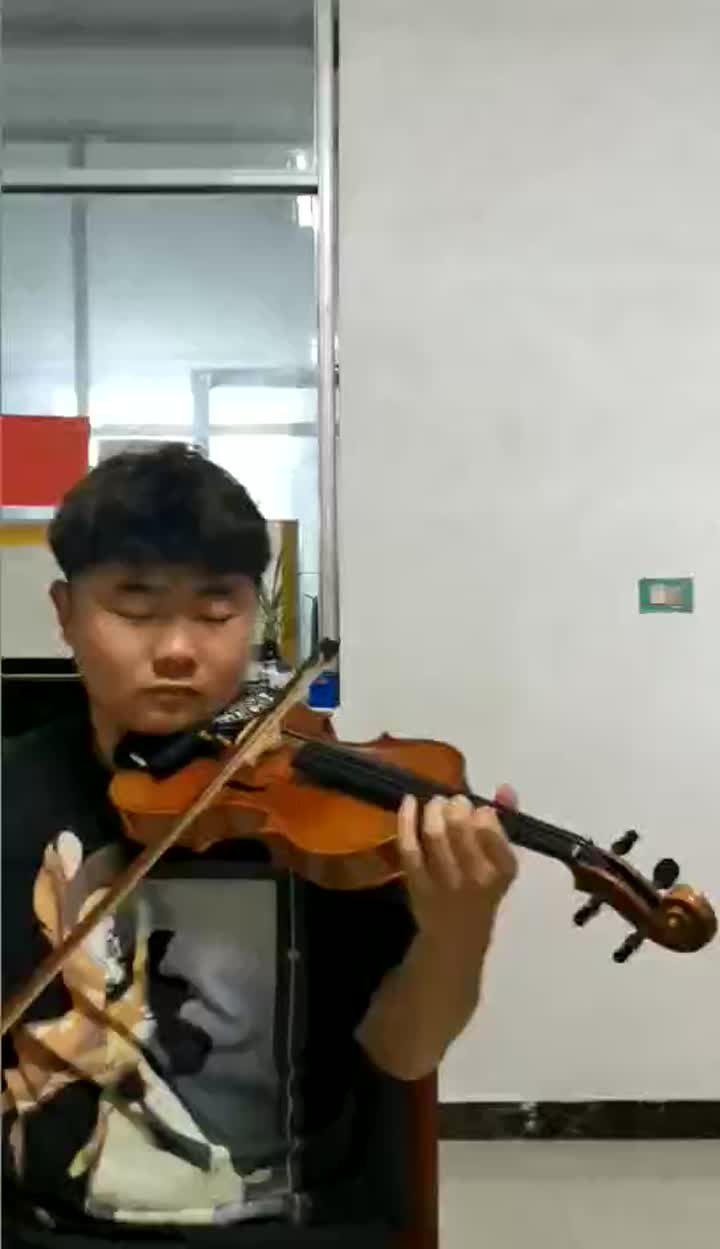 Um violino nivelado