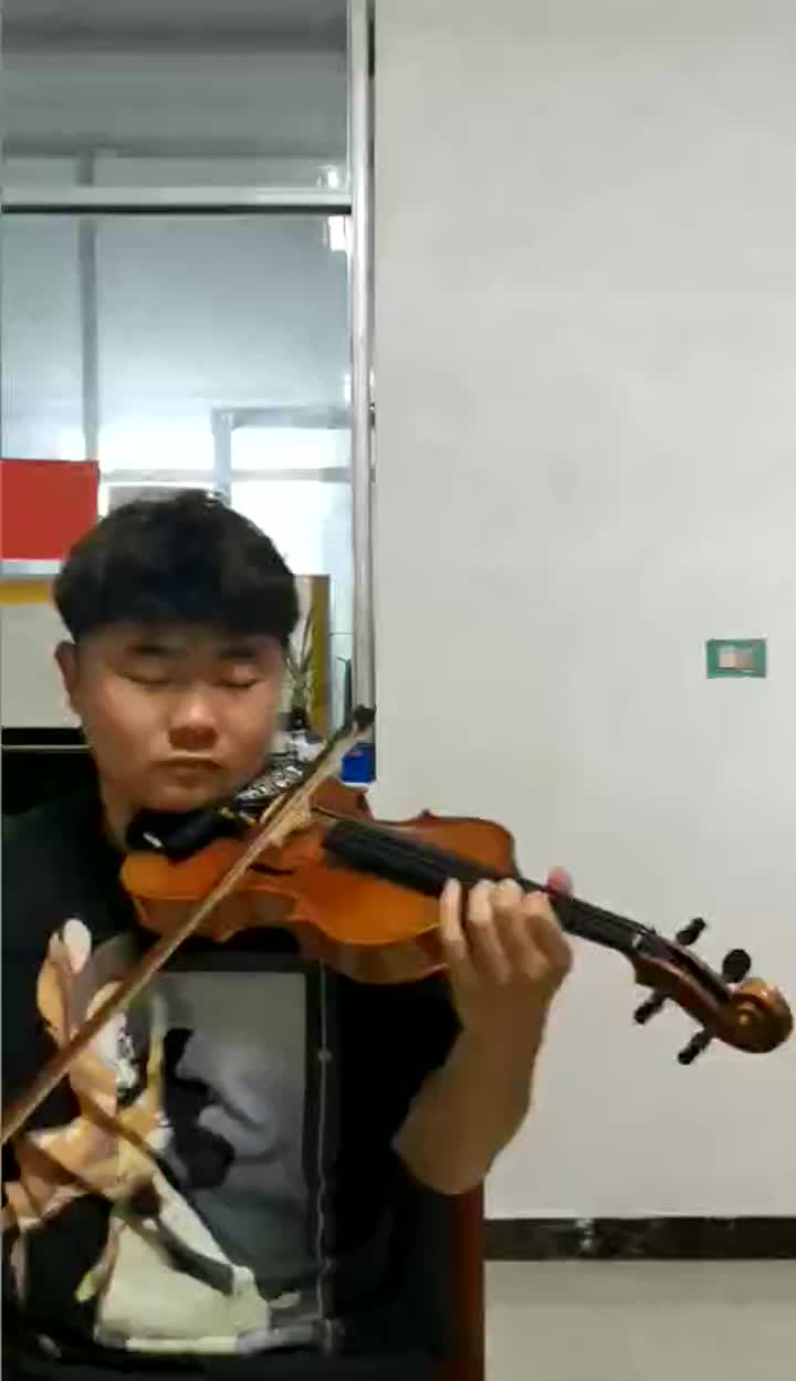 Un violino di livello