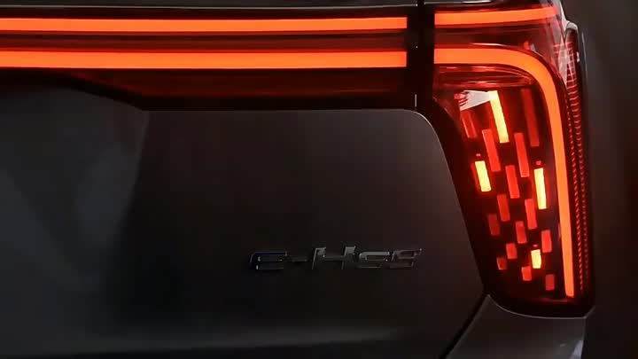 Pure Electric Luxury SUV Hongqi EHS9