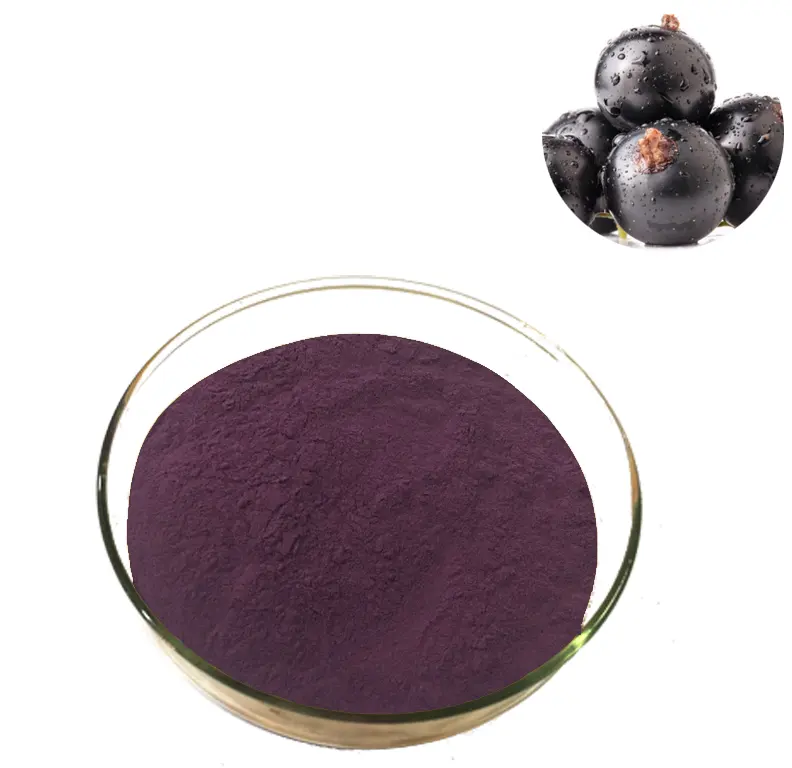 Black currant powder