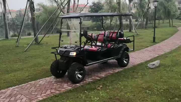 4+2 seats lifted off road tyre with gasoline power