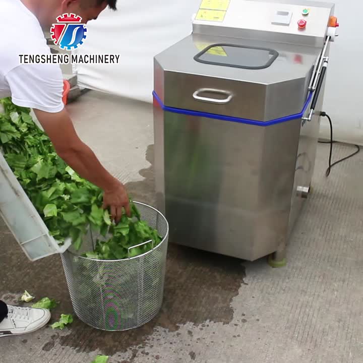 Girador secador centrífugo comercial de alface vegetal TS-T09