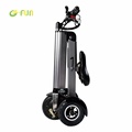 FS-18L Handicapped Electric Tricycles