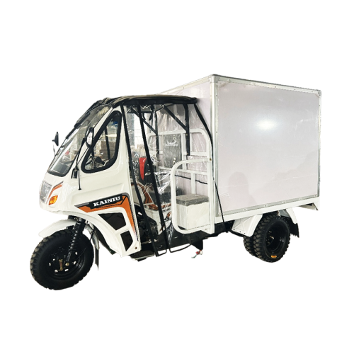 Paradigmas de design emergentes em triciclos de utilidade adulta (2025-2027)