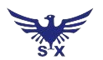 PSX Brand Logo