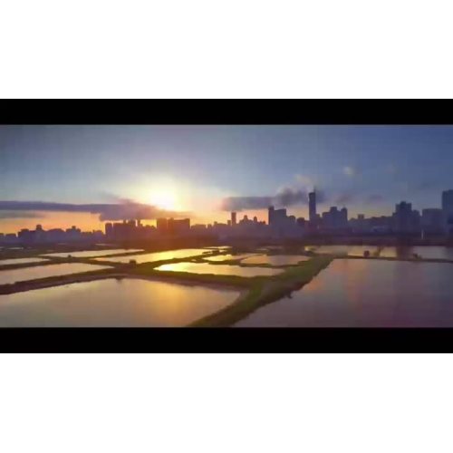 Film firmowy