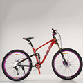 Cheapest 21 Speed China Mountain Bike for Men with Disk Brake1