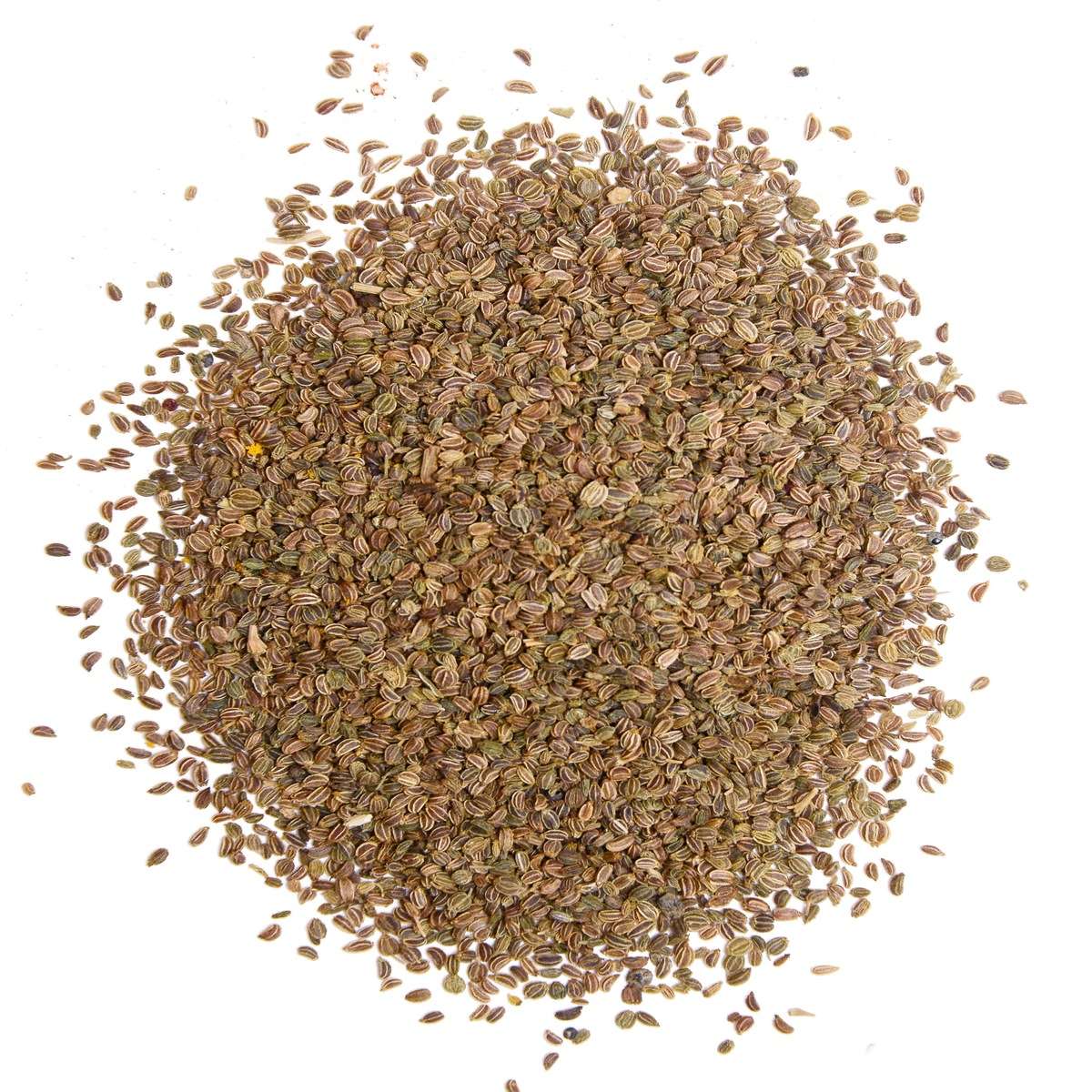 Celery Seed