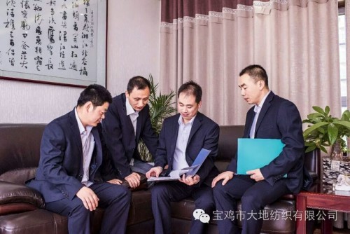 Baoji Dadi Textile Co.,Ltd