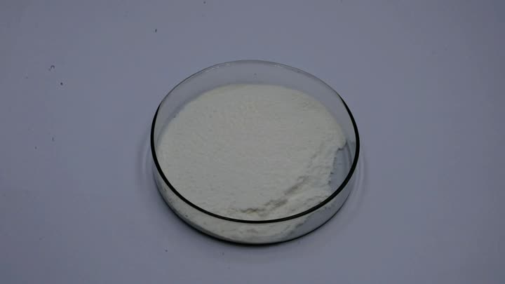 Probiotic powder