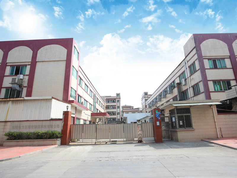 Lizhi Precision Manufacturing Technology Co.,Ltd