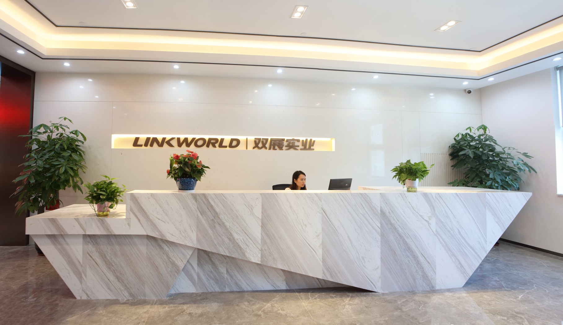Dongguan Shuangzhan Industrial Co.,Ltd