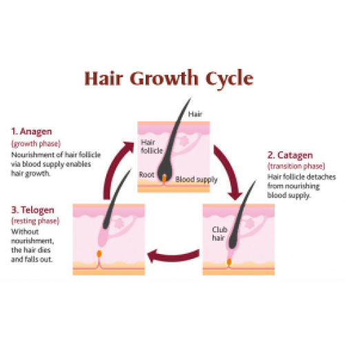 All you need to know about laser hair removal treatment | Choicy beauty- a beauty training course