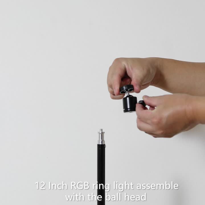 （1080P） Kit de luz de anillo RGB de 12 pulgadas