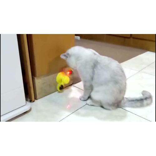 Haustierspielzeug für Katze drehen die Windmühle