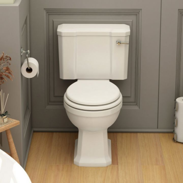 Tips of how to buy a toilet seat!