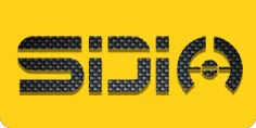 ludo
