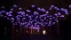 Luz de fibra de decoración LED de medusas