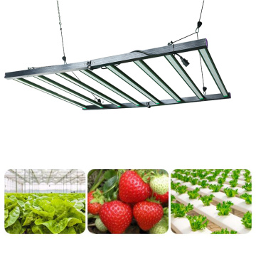 List of Top 10 Plant Grow Light Brands Popular in European and American Countries