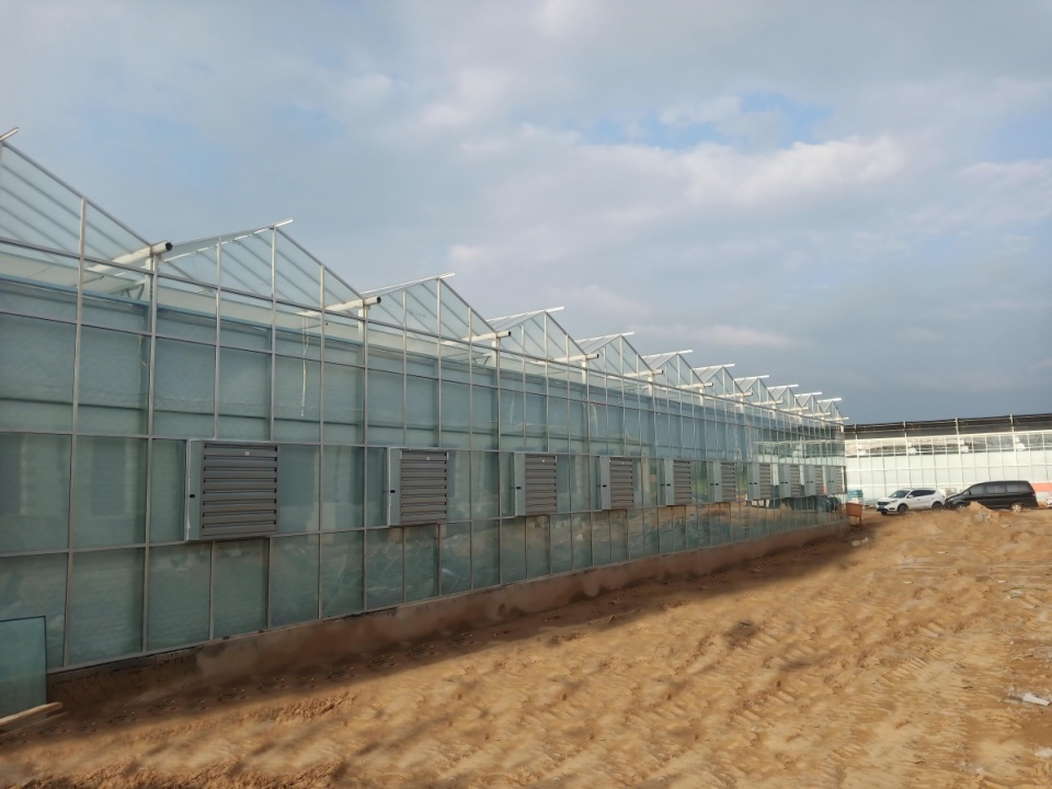 Hunnan District Modern Agricultural Technology Demonstration Park - Glass Greenhouse Project