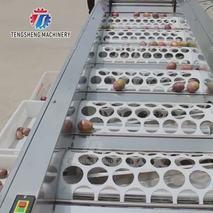Máquina classificadora de frutas TS-FS670