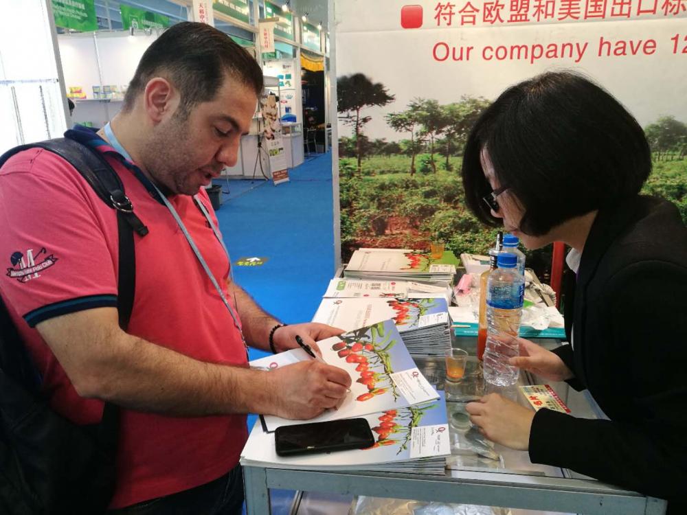 Qixiang company went to Guangzhou to attend the Canton Fair