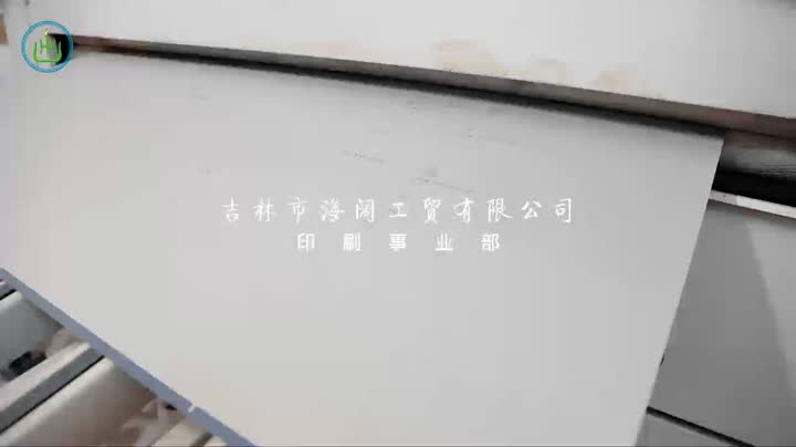yinshuashipin3