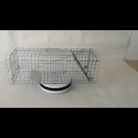 Humane Living Animal Catching Cat/SquirrelTrap Steel Rabbit Trap Cage For Sale Best Seller1