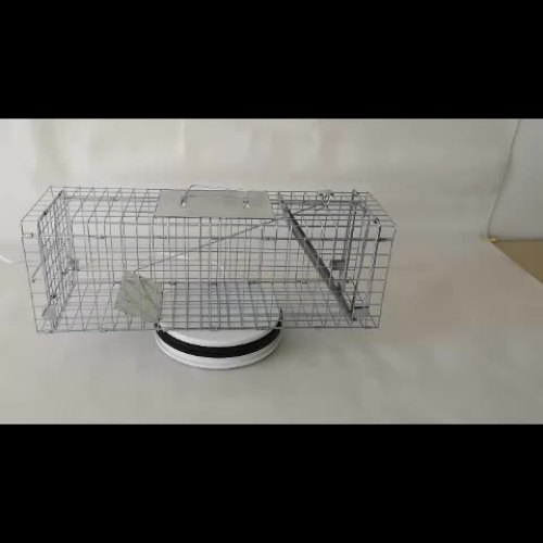 Humane Living Animal Catching Cat/SquirrelTrap Steel Rabbit Trap Cage For Sale Best Seller1