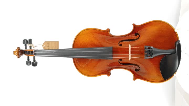 Violine-JMD-5