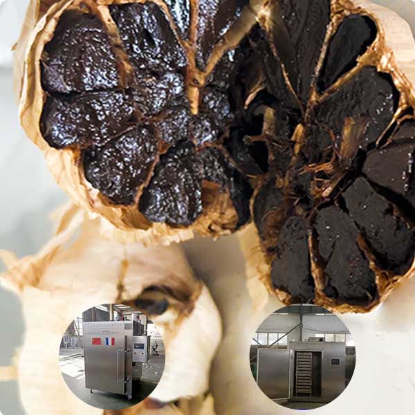 black garlic 