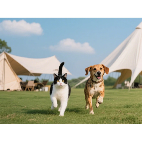 Les modes de vie familiaux élevés en plein air alimentent l'expansion continue de l'industrie mondiale des loisirs, des produits pour animaux de compagnie et des enfants.