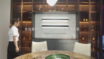 Smart Home System---Function Presentation