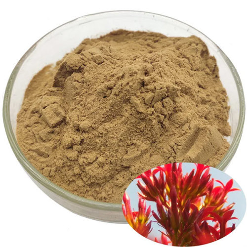 What is Rhodiola Rosea Extract Salidol?